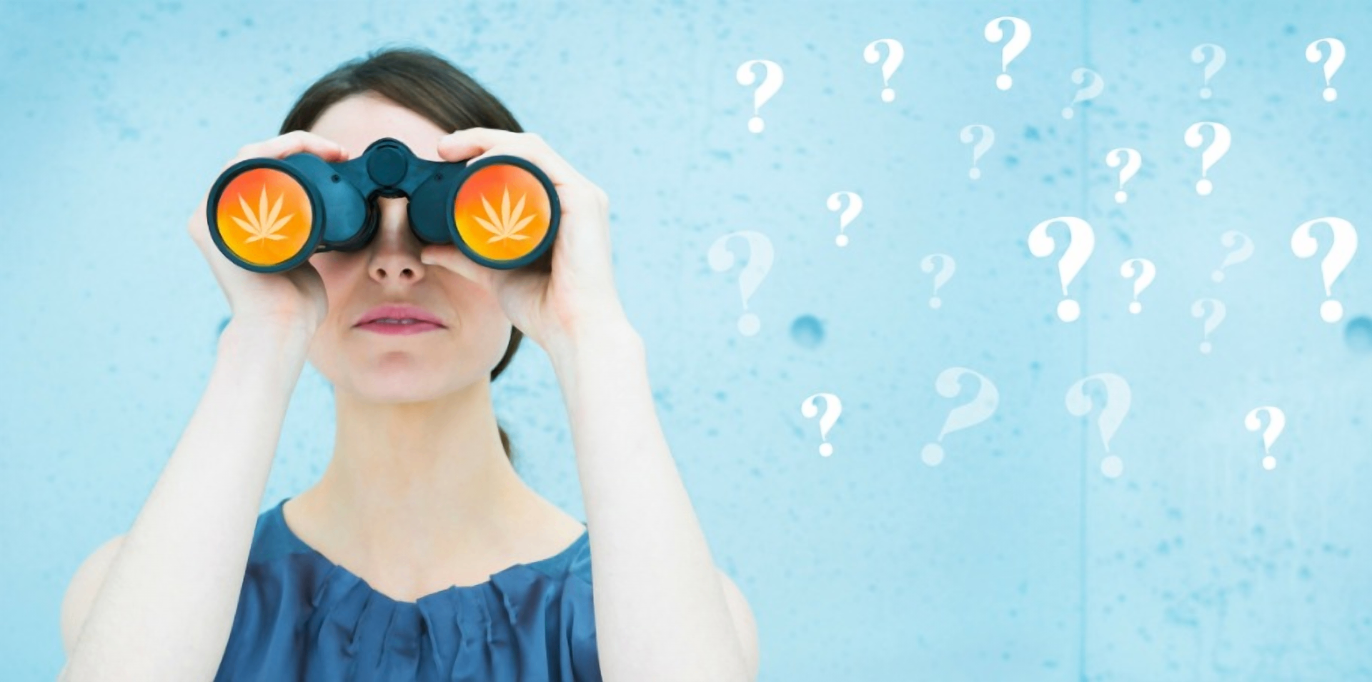 CannaHub.directory social image